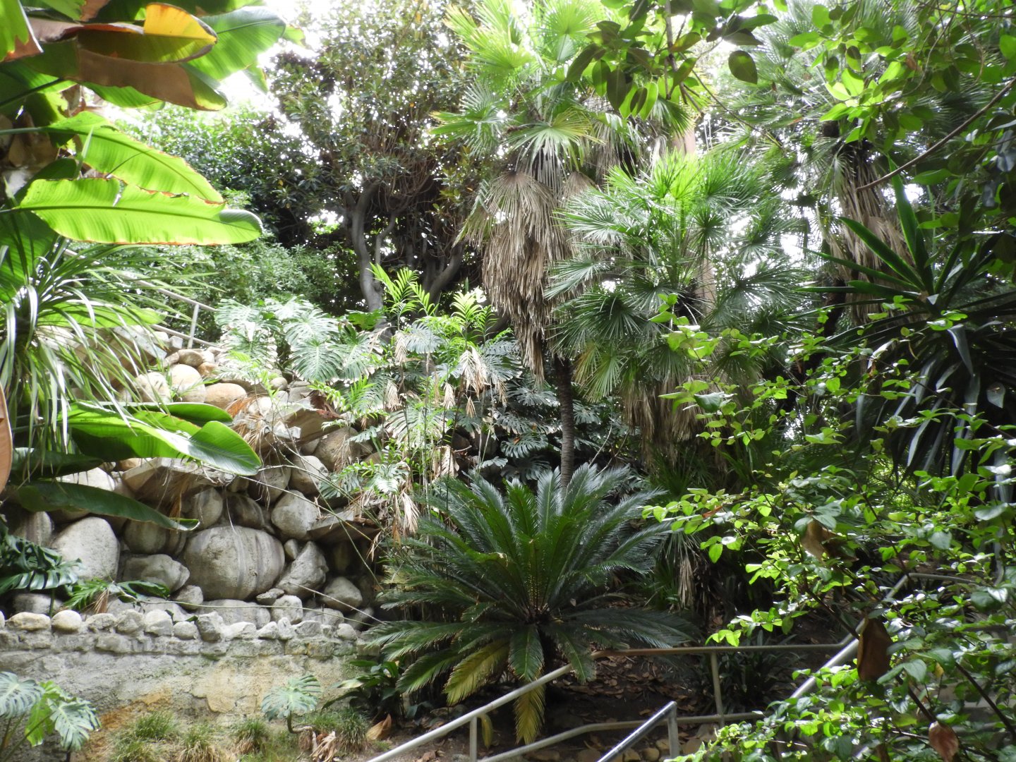 Inside walk-through aviary