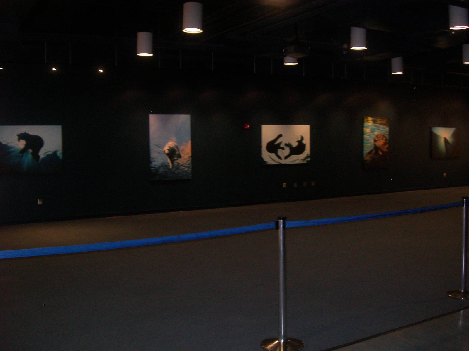 Inside Water's Edge Future Home of the nursery for the Orphaned Northern Se