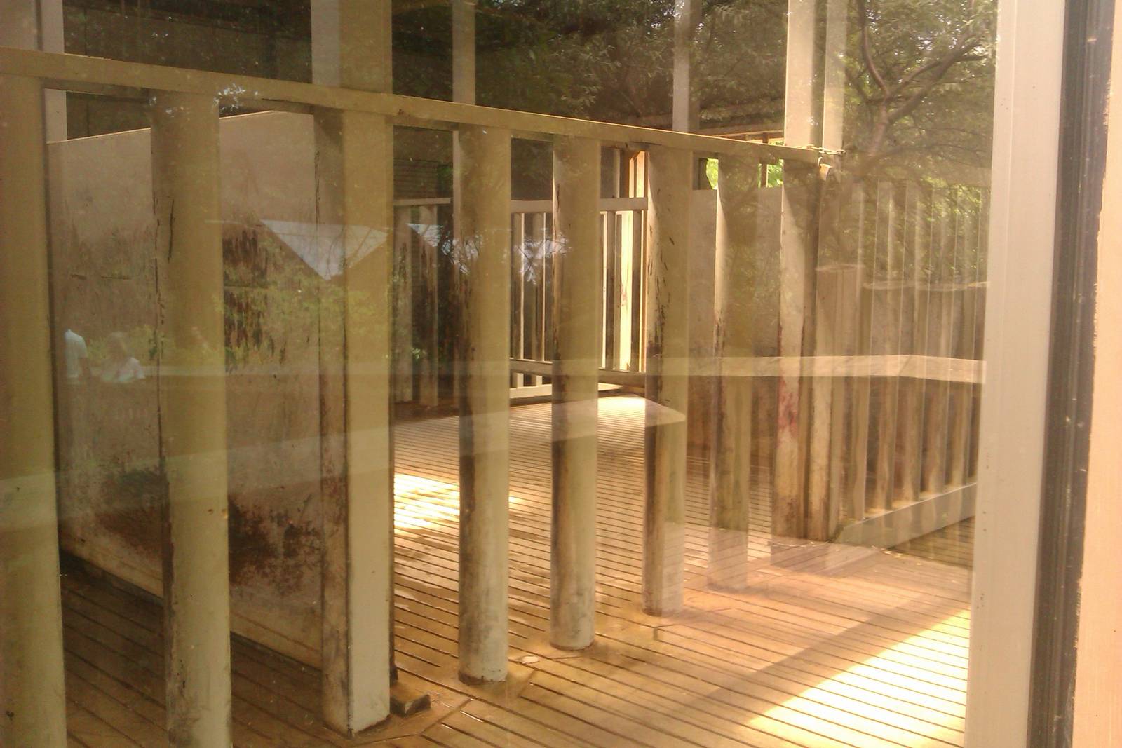 Inside White Rhino Barn