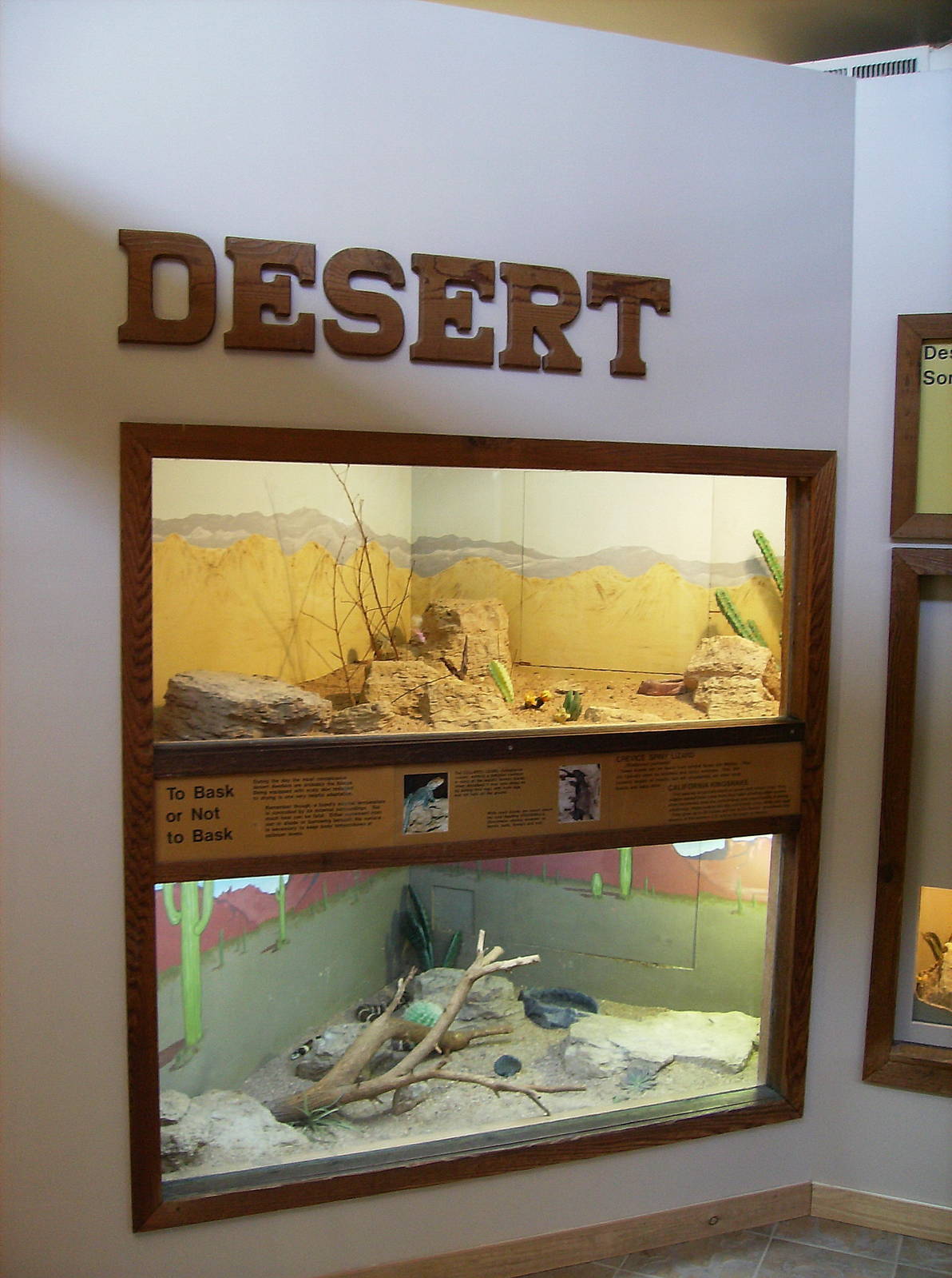 Inside Wild Habitats