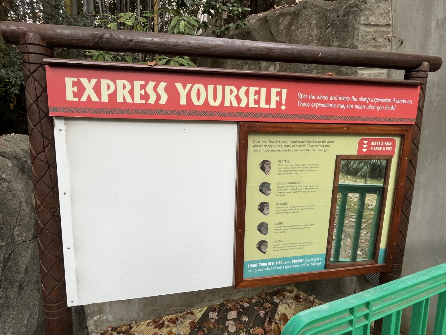 Installing new Chimpanzee facial expression signage