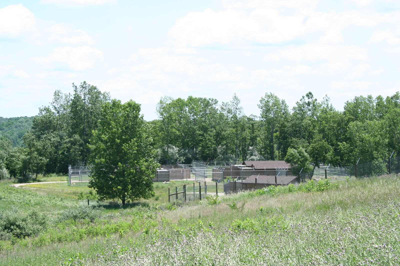 Intensive Animal Management Center