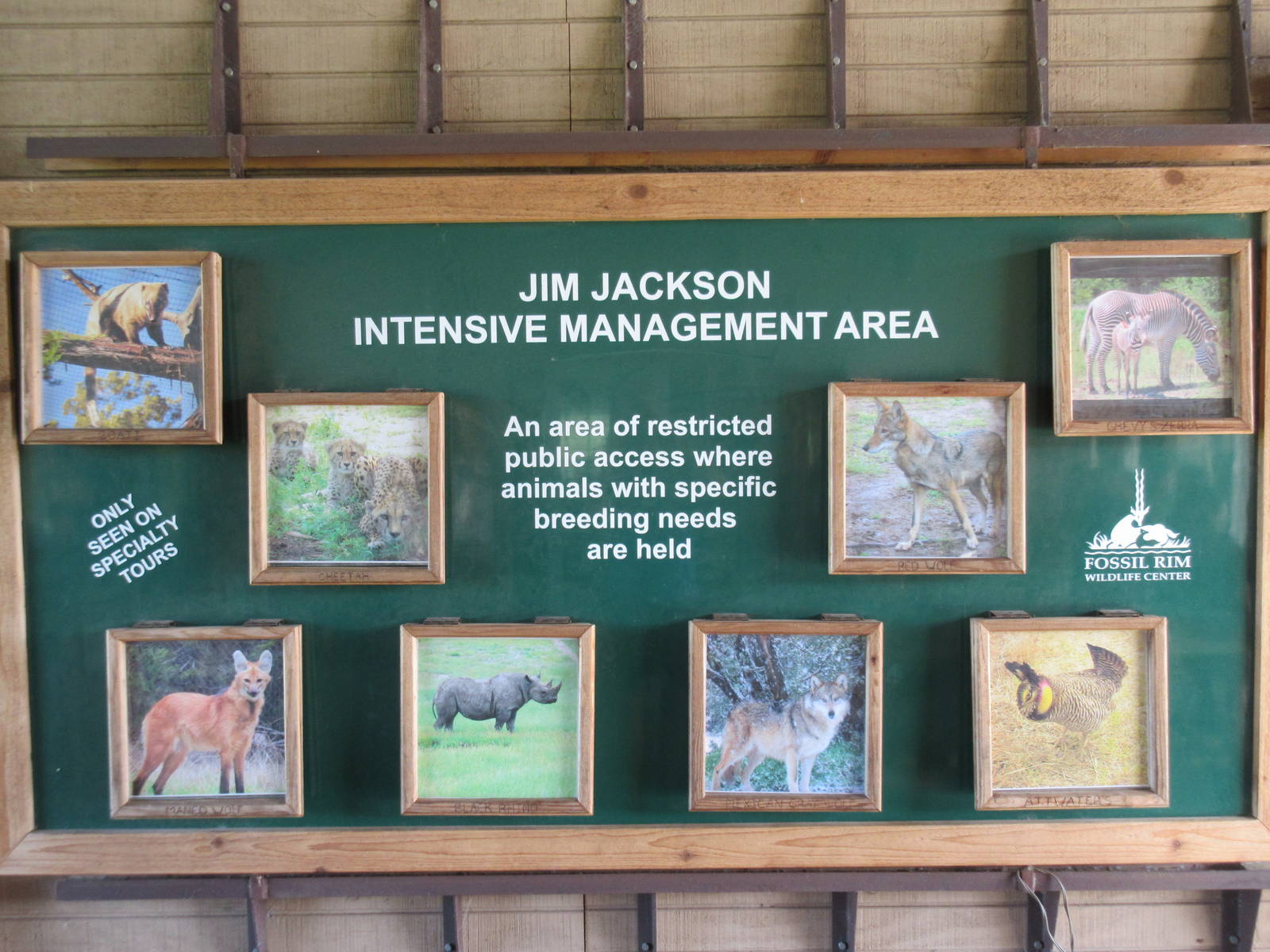 Intensive Management Area (only seen via special tours)