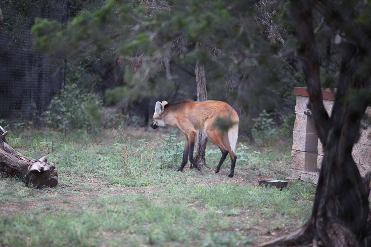 Intensive Management Area