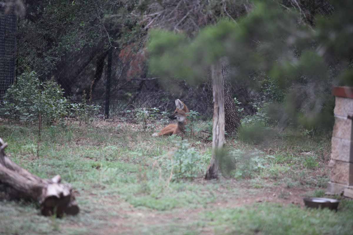 Intensive Management Area