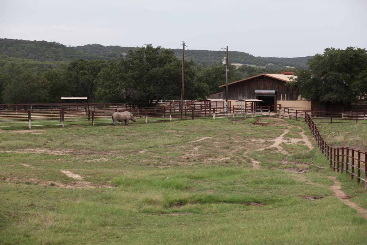 Intensive Management Area