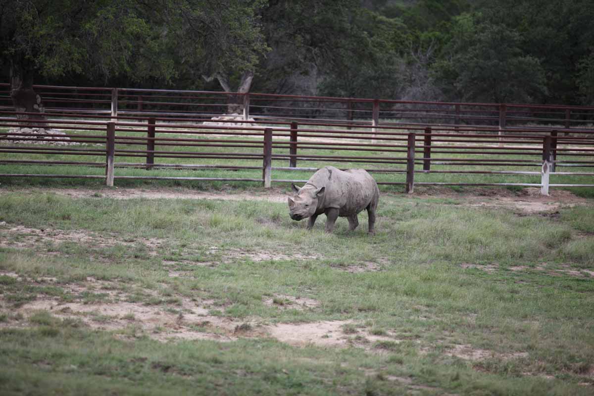 Intensive Management Area