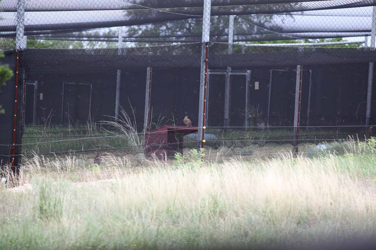 Intensive Management Area