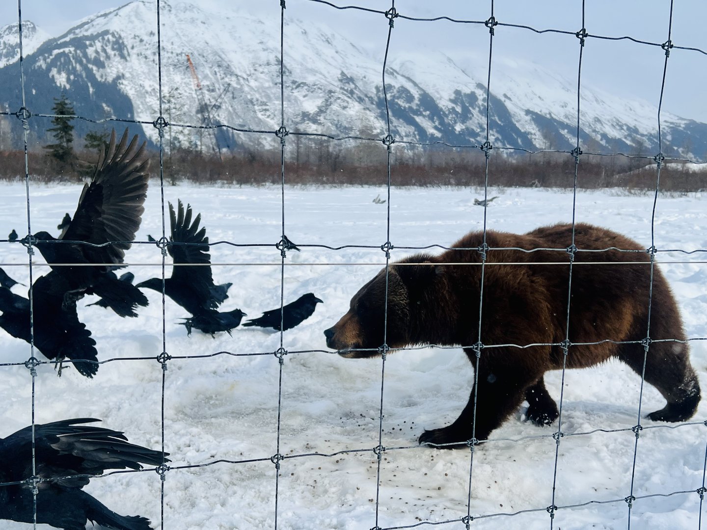 Interaction and Enrichment