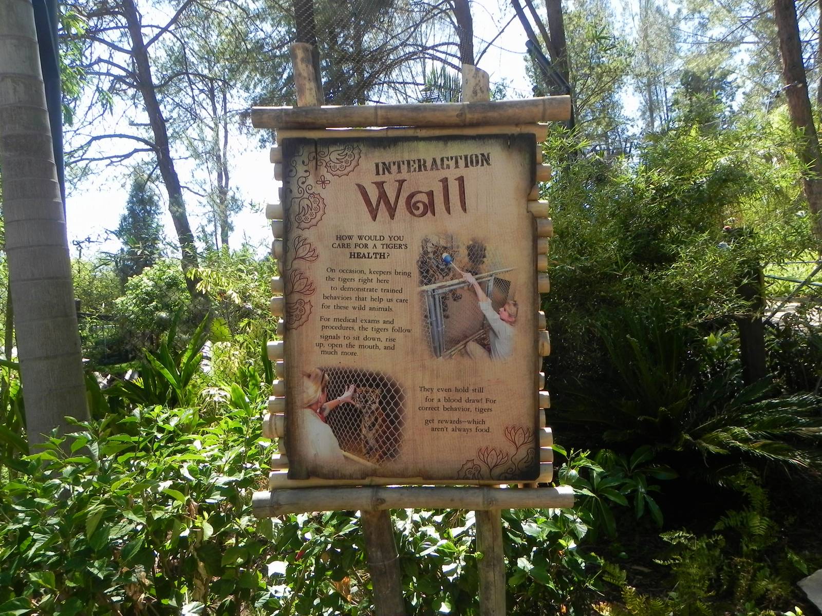 Interaction Wall sign Tiger Trail