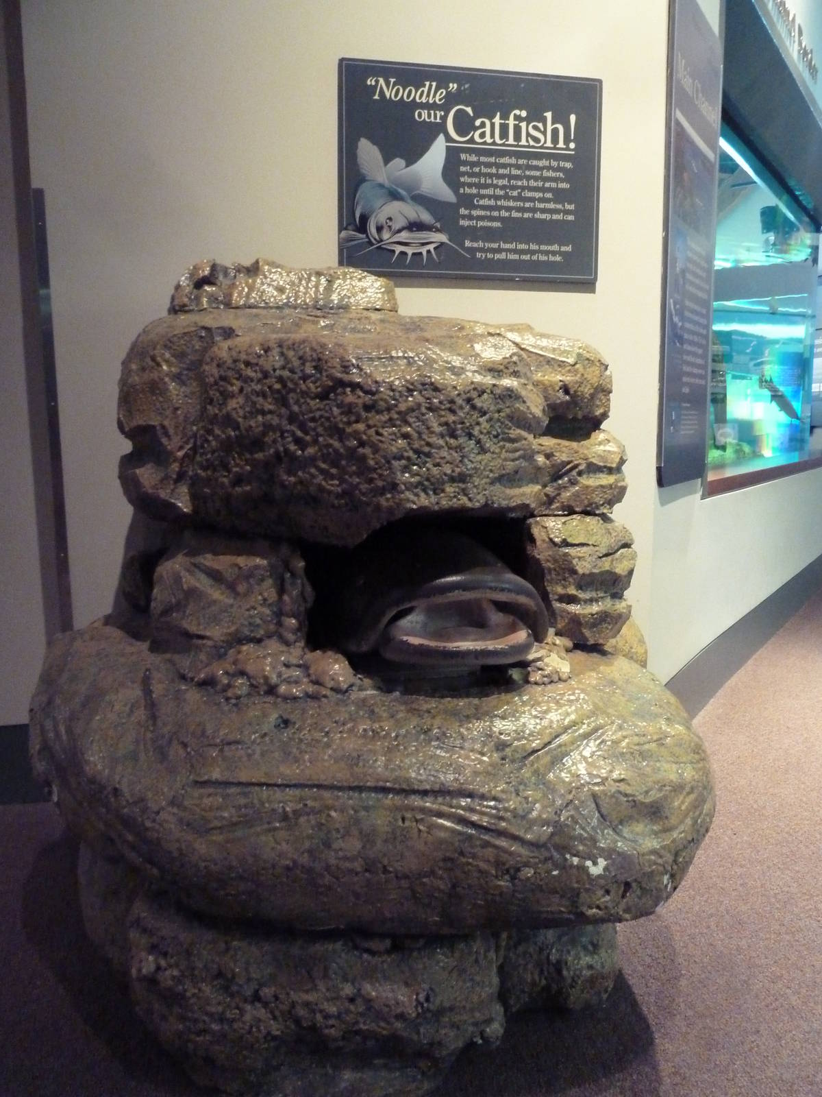 Interactive Catfish Display (it moves!)