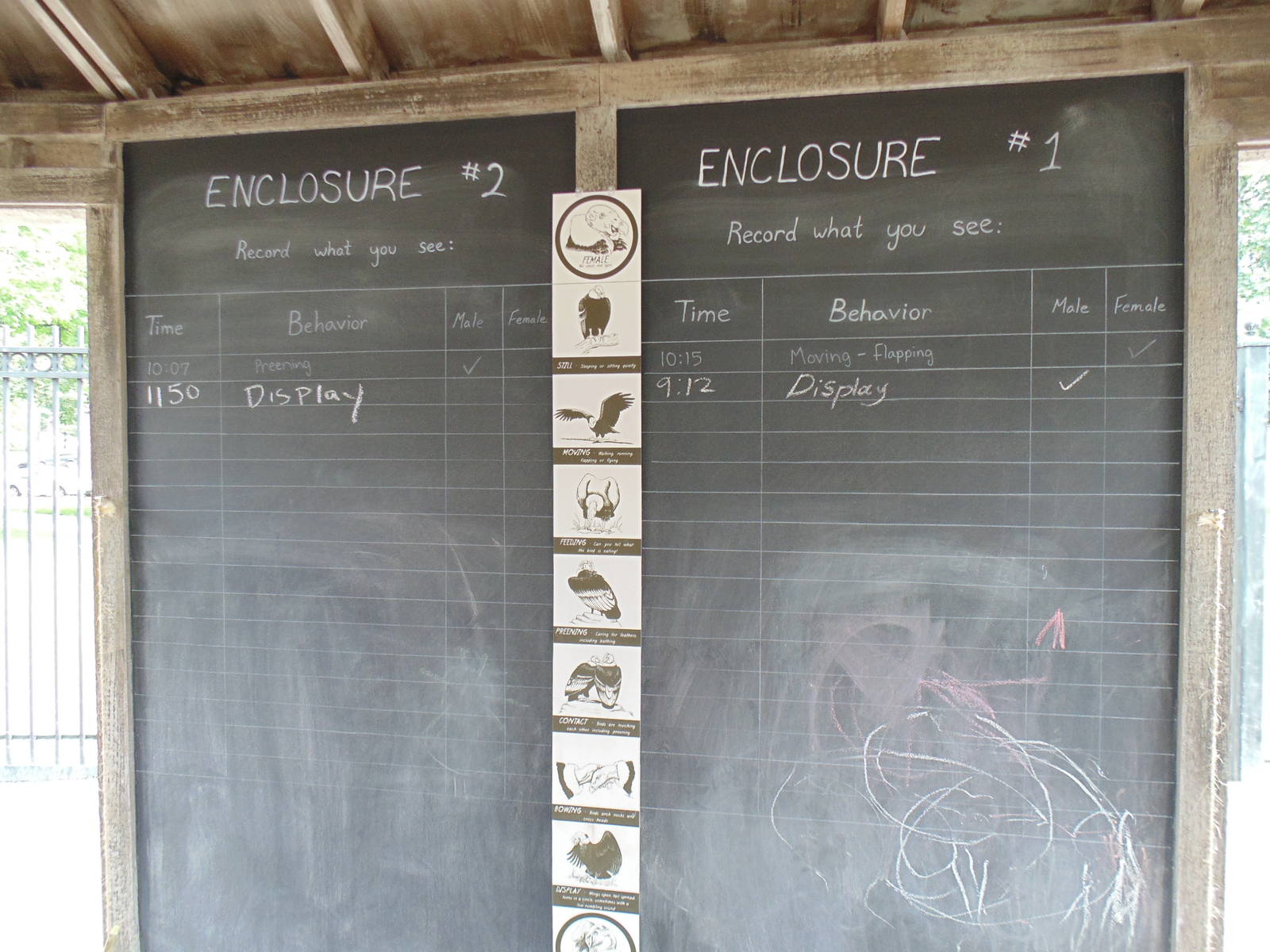 Interactive CHOC Board