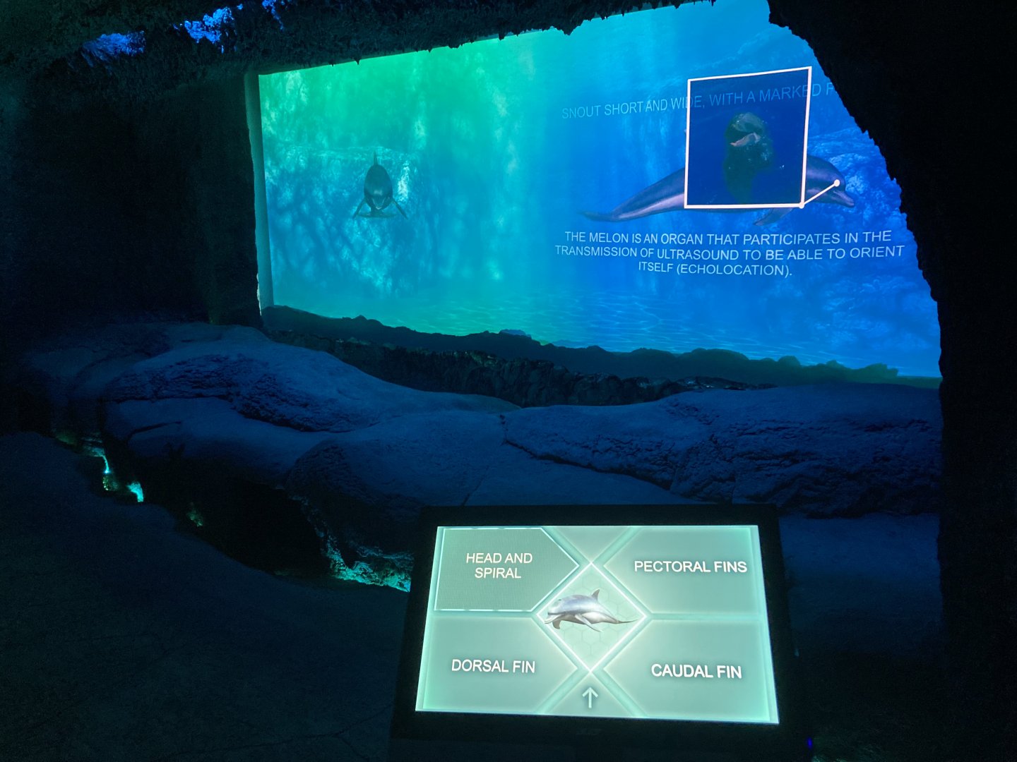 Interactive displays