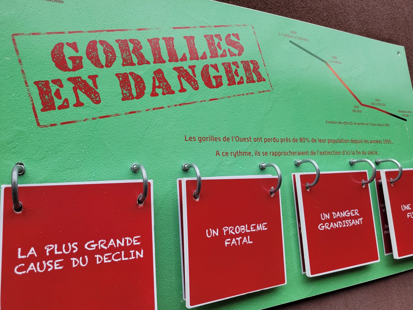 Interactive educative display -Zoo du bassin d'Arcachon (2024)