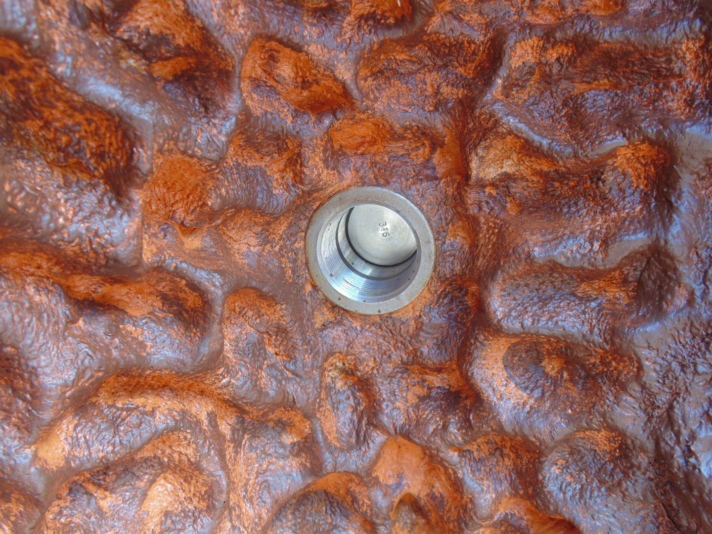 interactive/enrichment feeding hole for the anteater