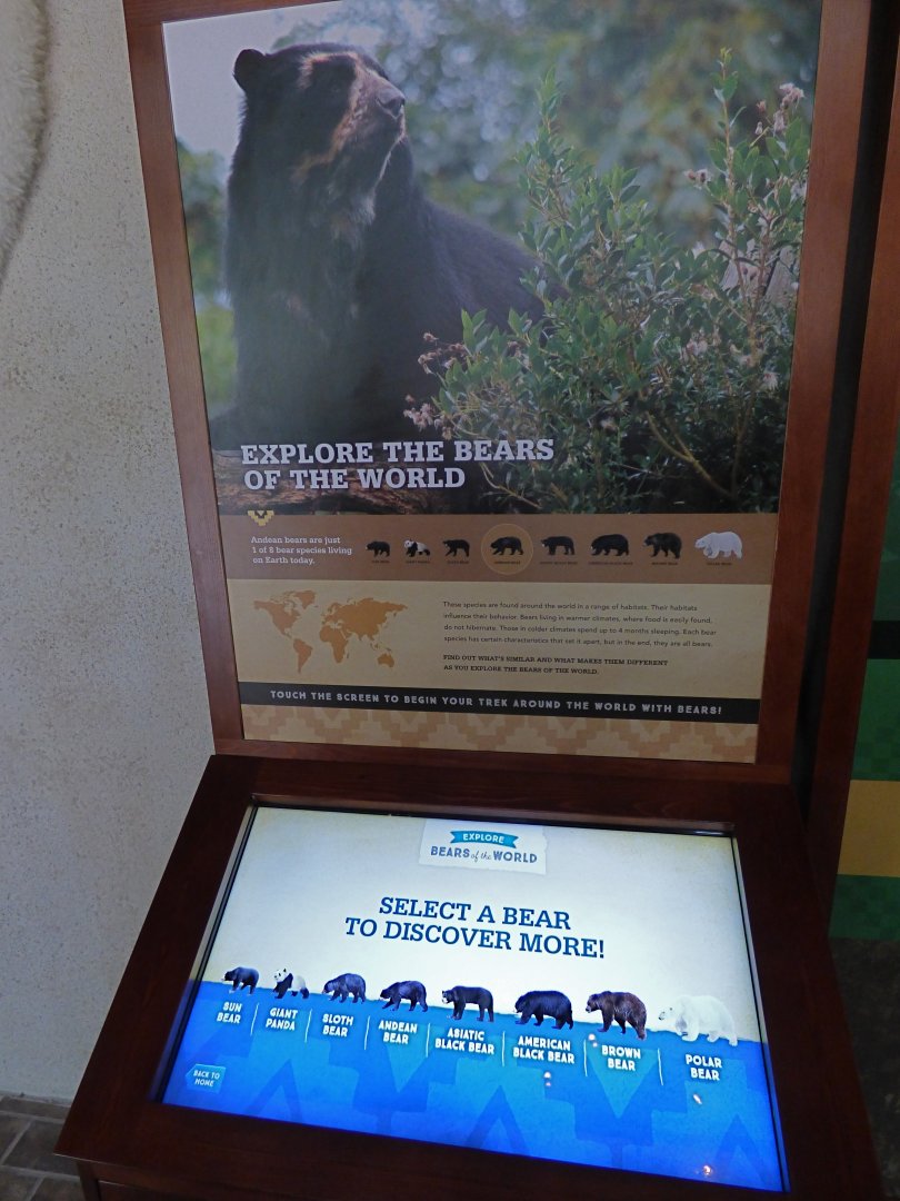 Interactive Game (Expedition Peru) - May 2018