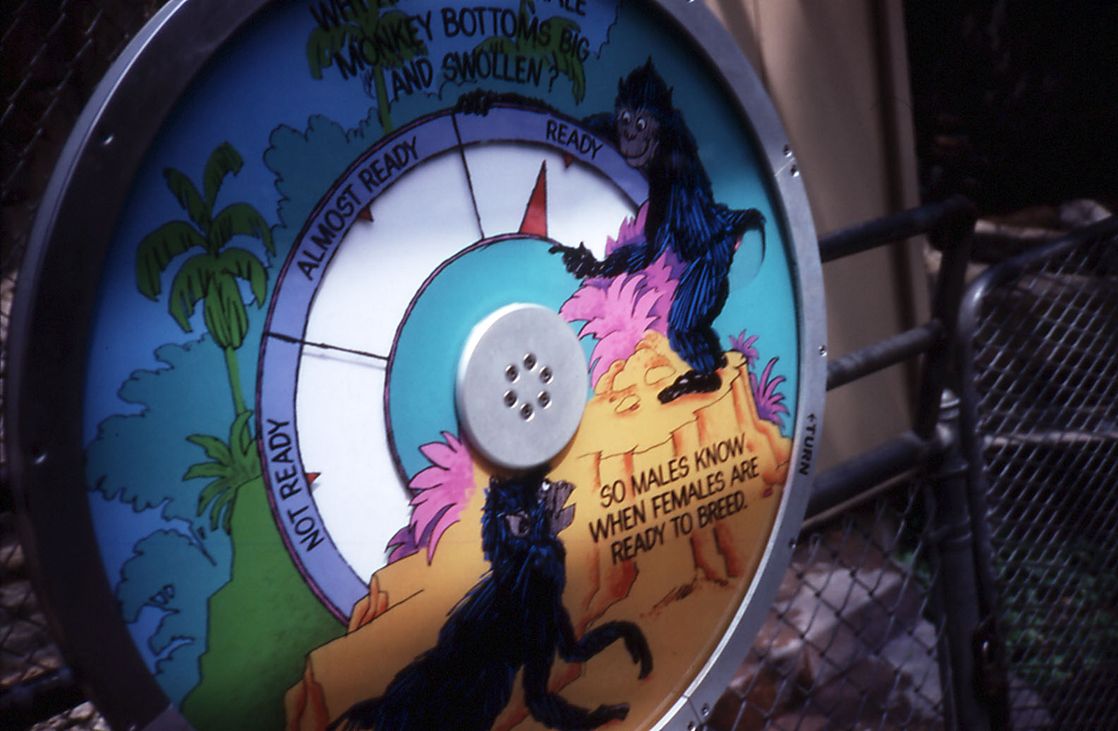 Interactive Graphic, Primate - 1987