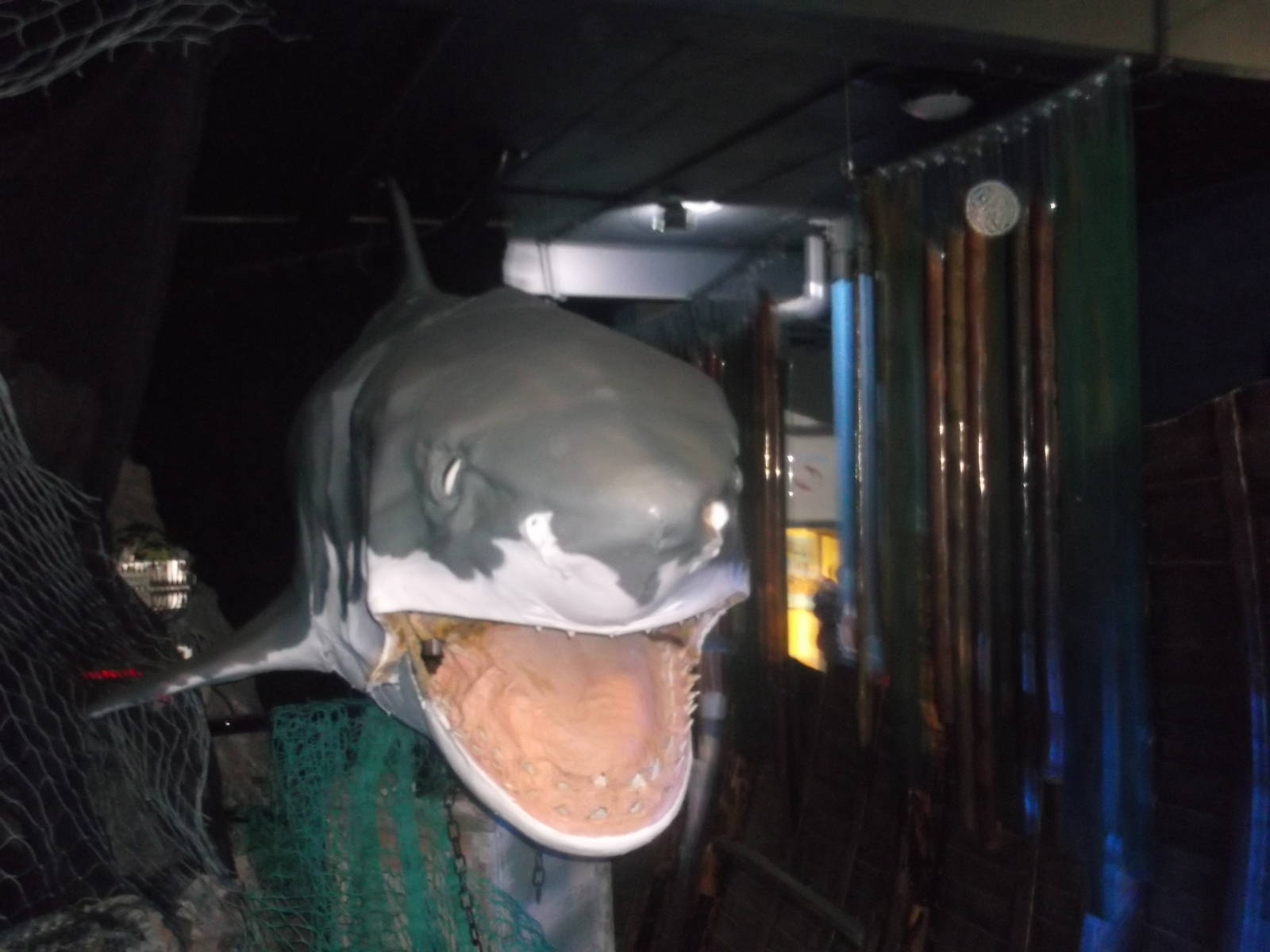 Interactive Great White Shark