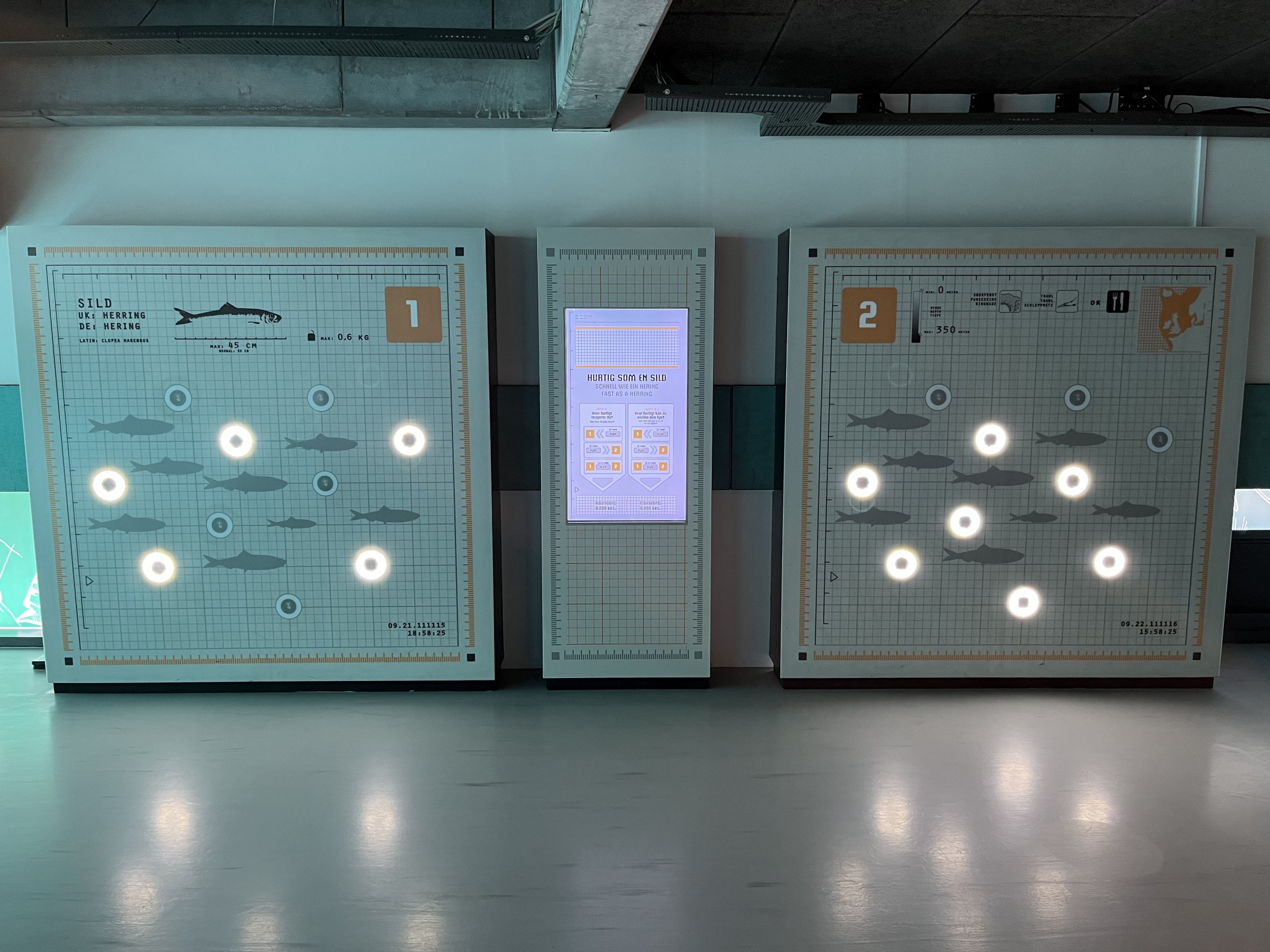 Interactive Herring Game