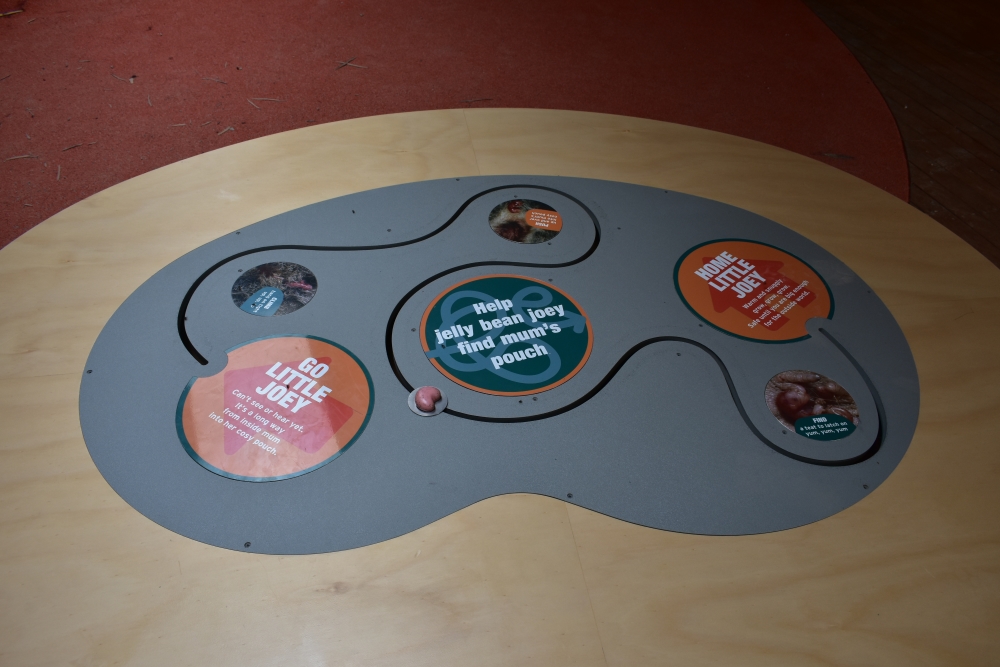 Interactive Joey Table