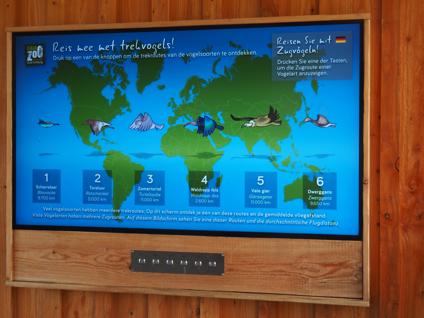 Interactive screen with migratory bird information, 2022-08-20