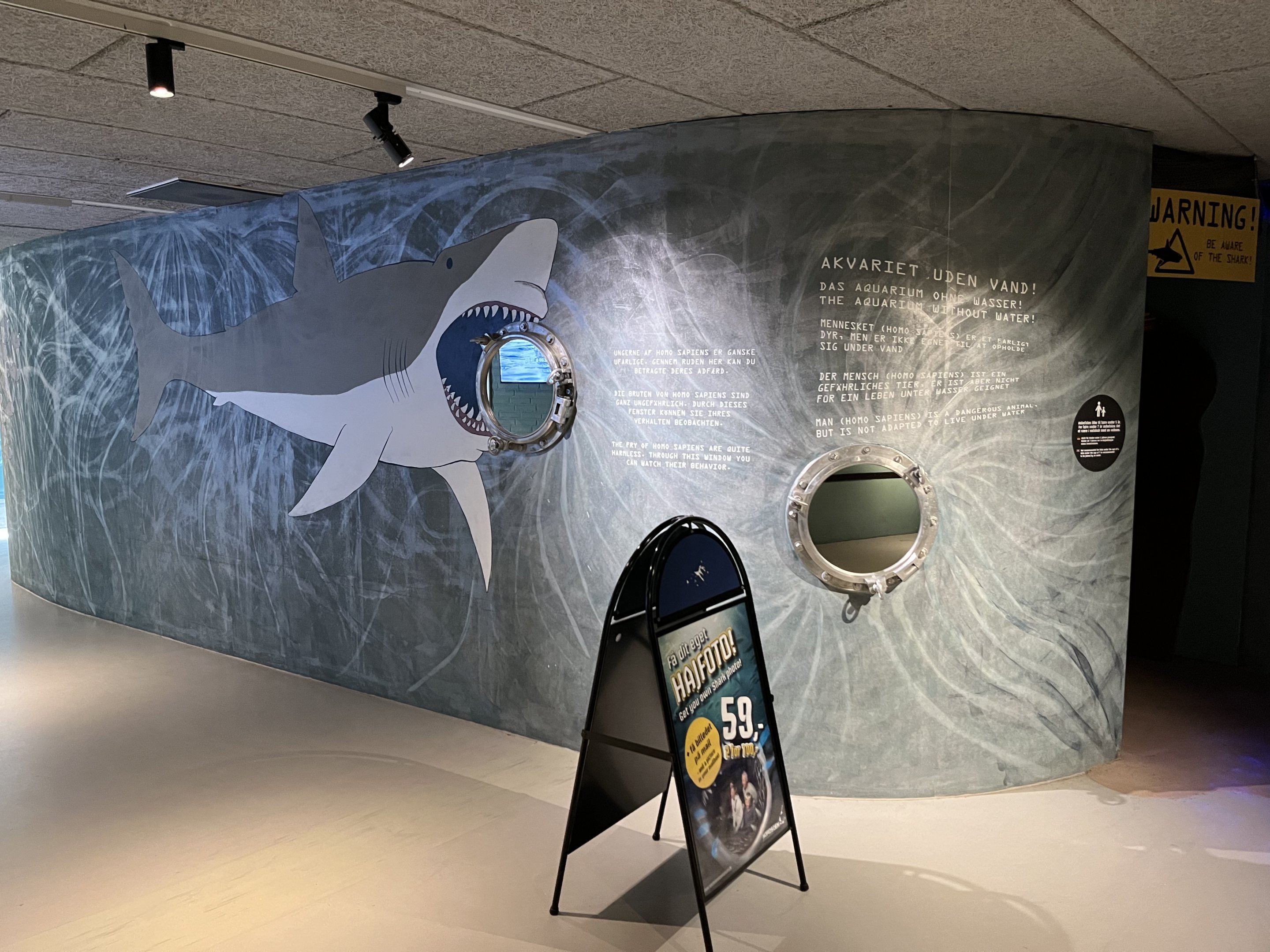 Interactive Shark Display (no live animals)
