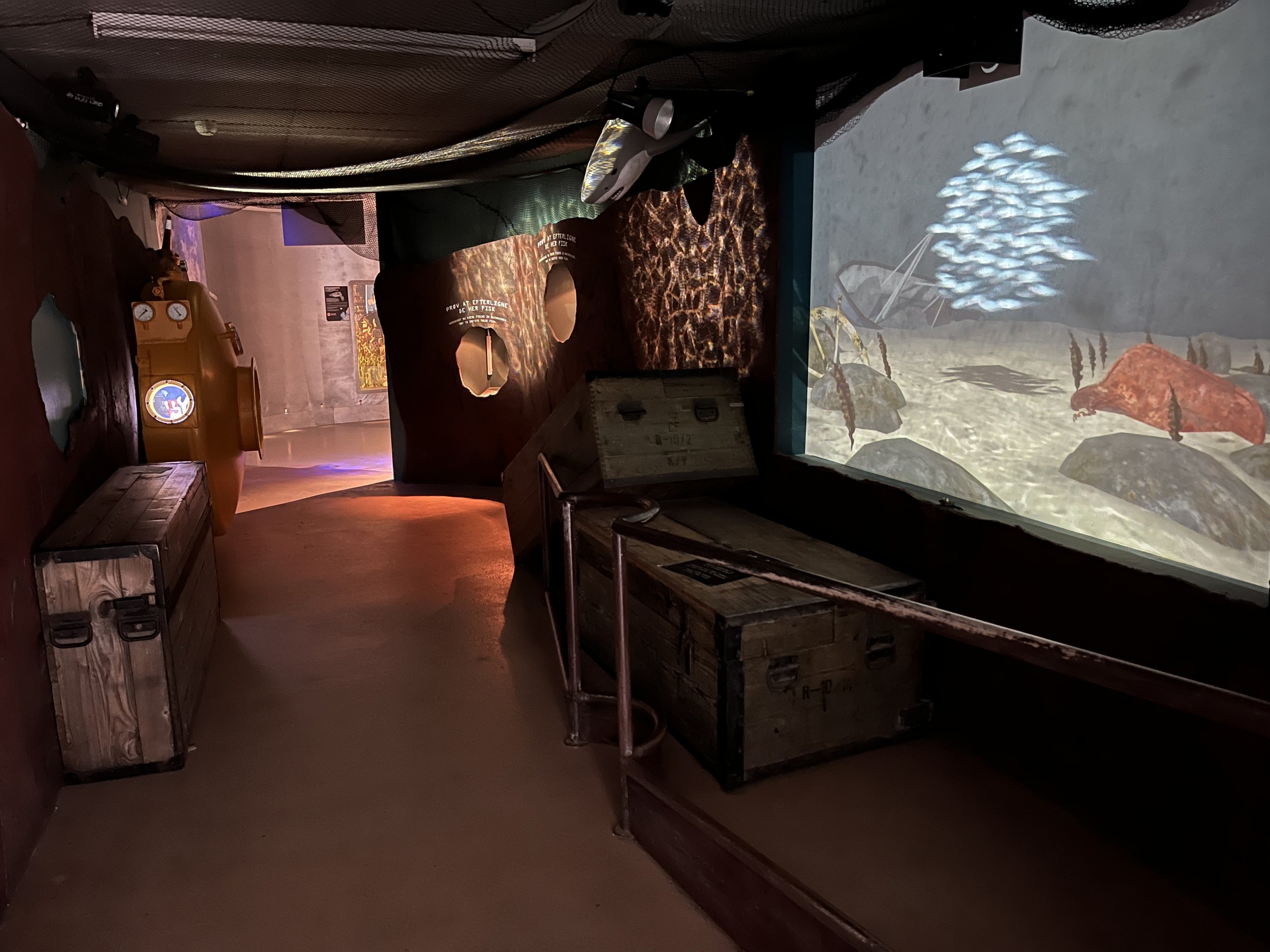 Interactive Shark Display (no live animals)