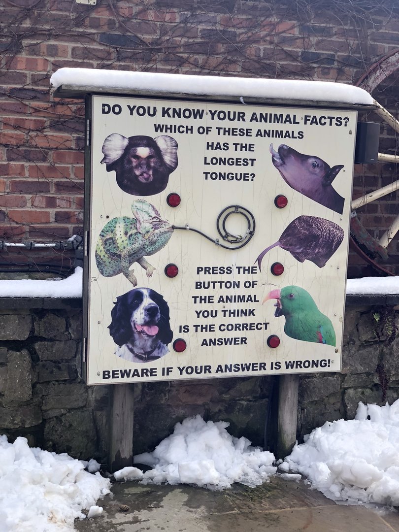 Interactive Signage at Tropical Butterfly House (March 2023)