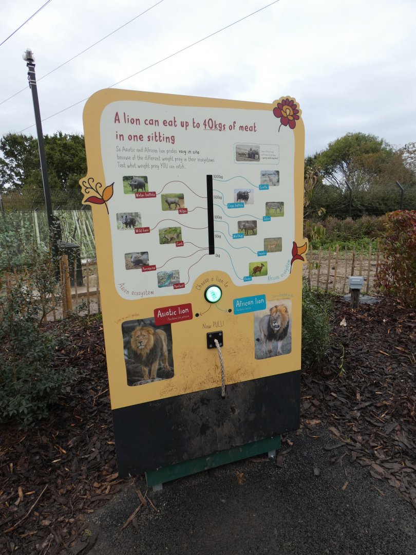 Interactive signage of African vs. Asiatic Lions