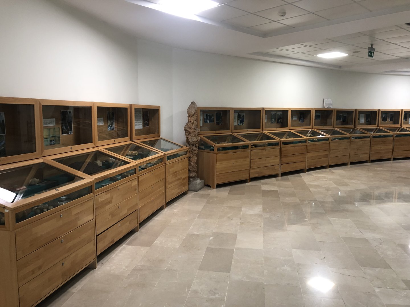 Interactive Specimens for the visually impaired at MTA Natural History Museum