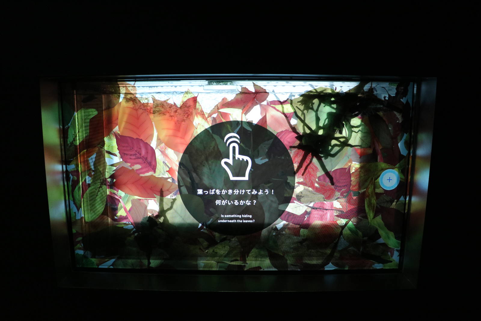 Interactive tank: leaf fish - EPSON Aqua Park, February 2016