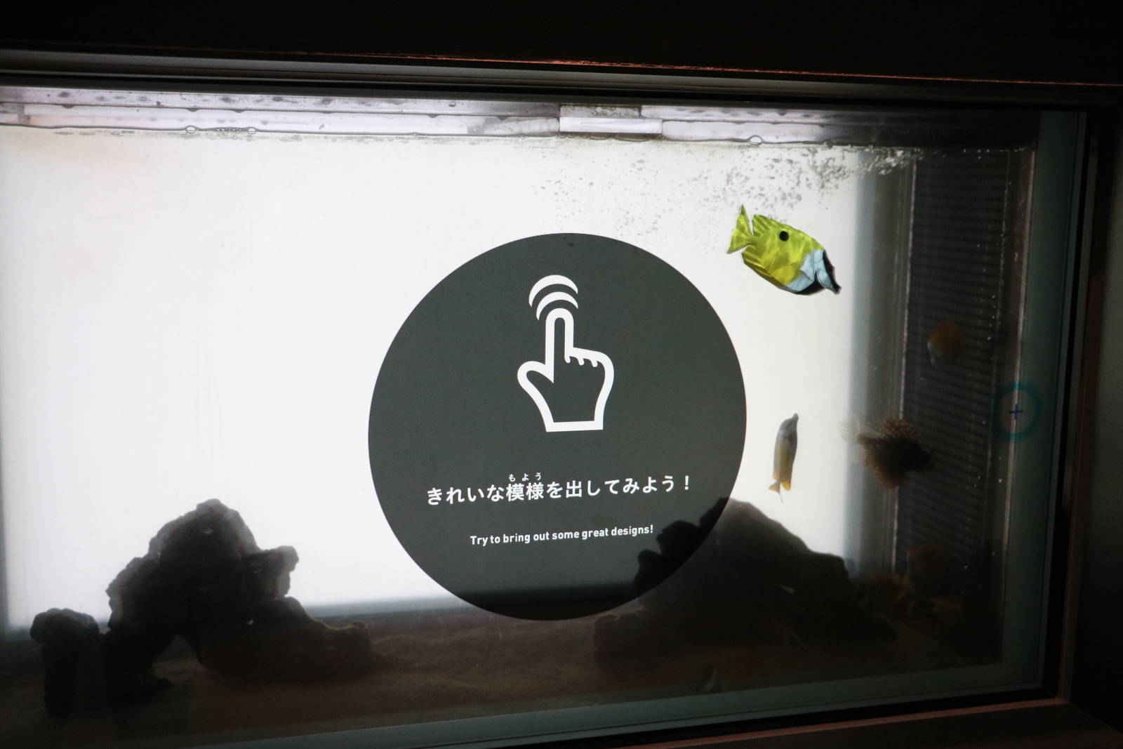 Interactive tank: Venomous patterns - EPSON Aqua Park, February 2016