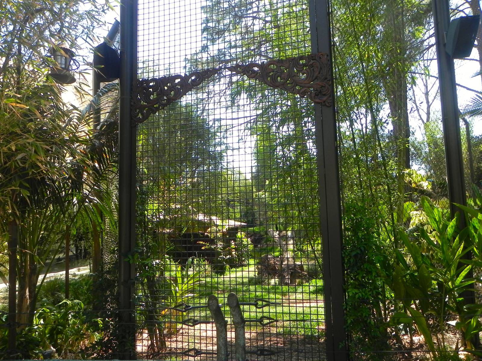 Intercation Wall yard 1 Tiger Trail