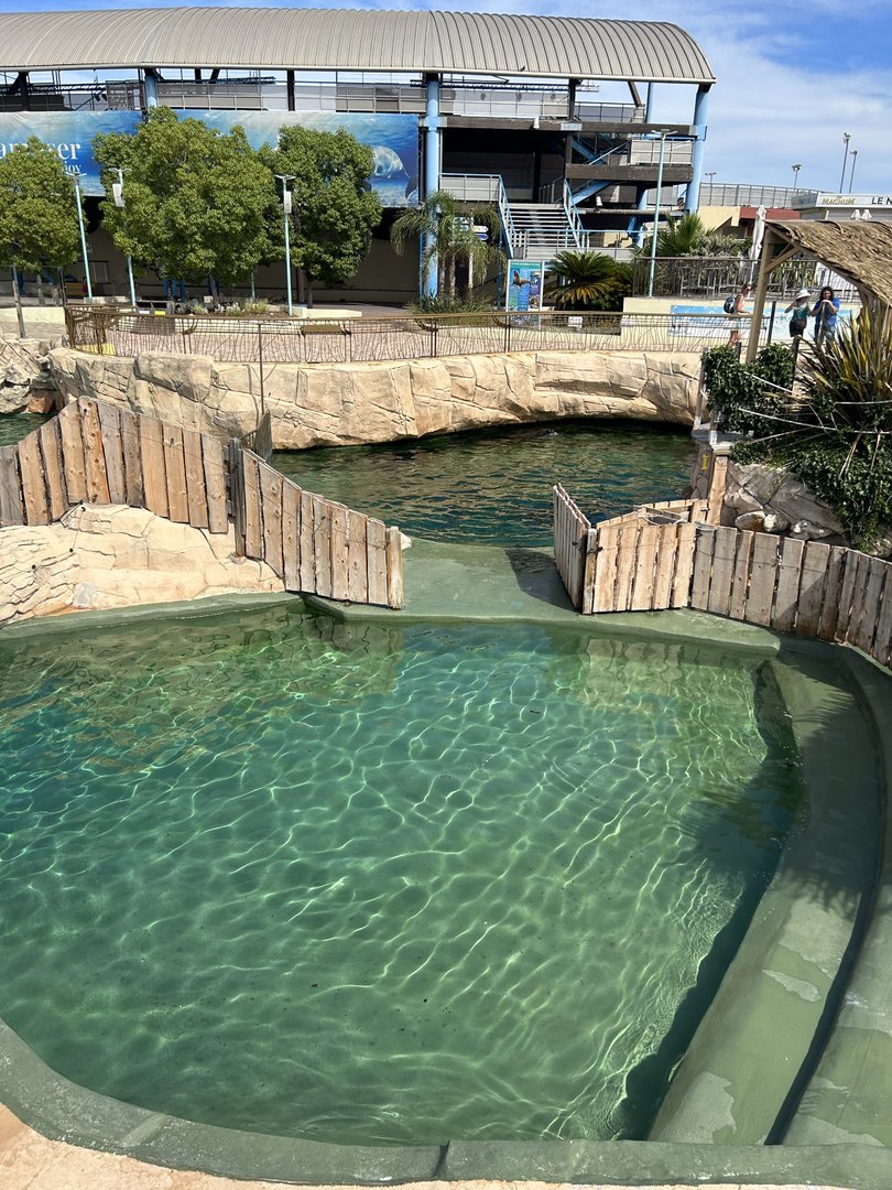 Interconnecting pools for South American sea lions
