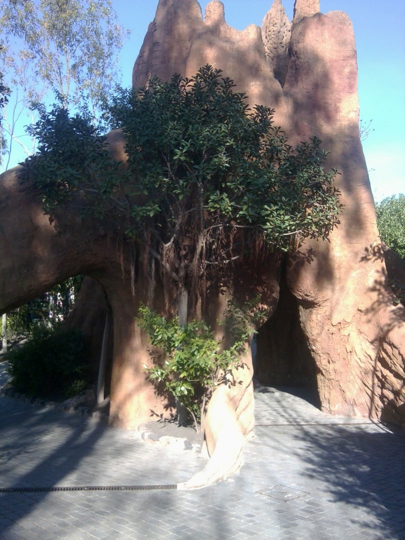 Interenclosure design in Equatorial Africa section