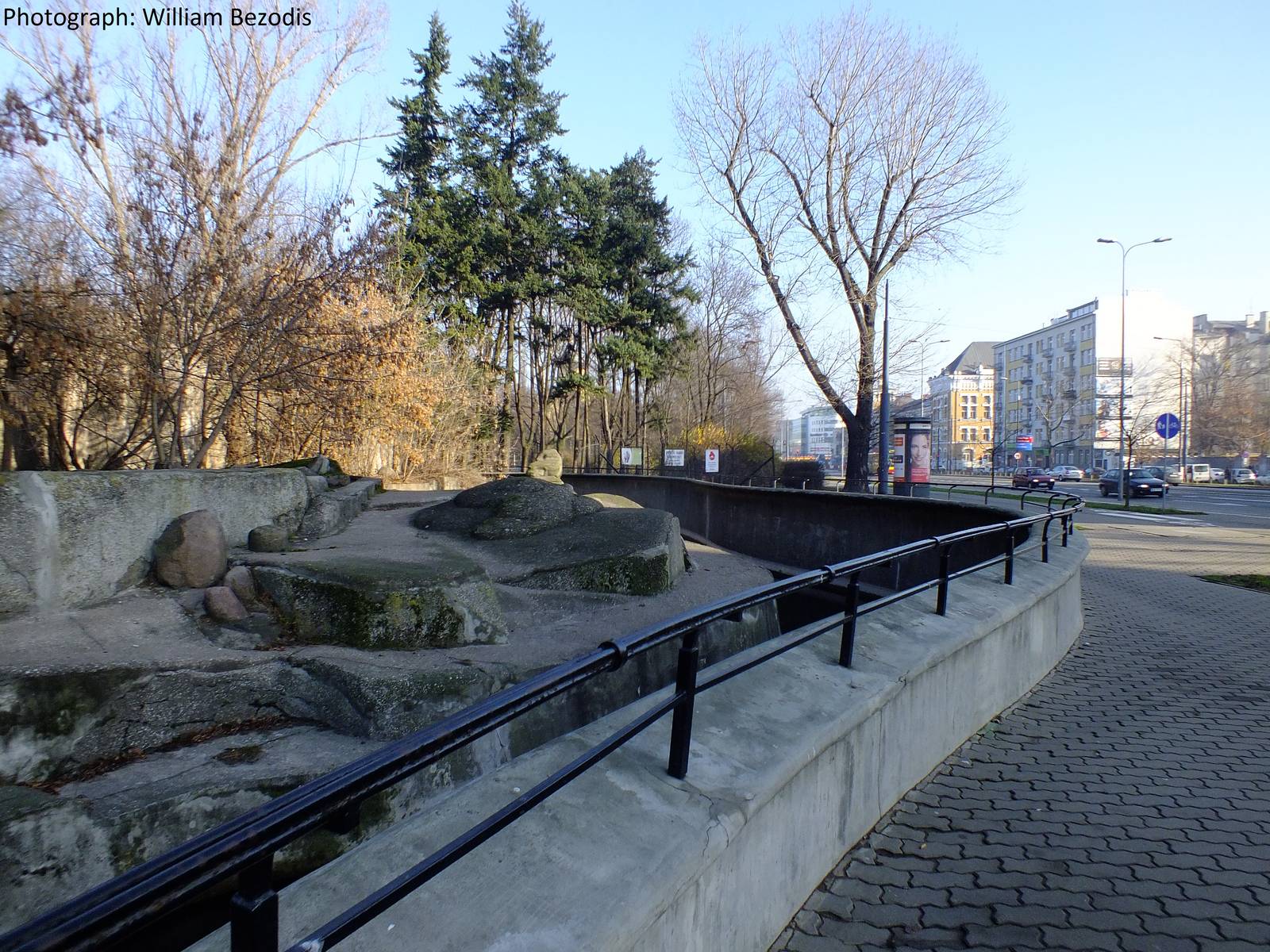 Interesting Brown Bear Exhibit