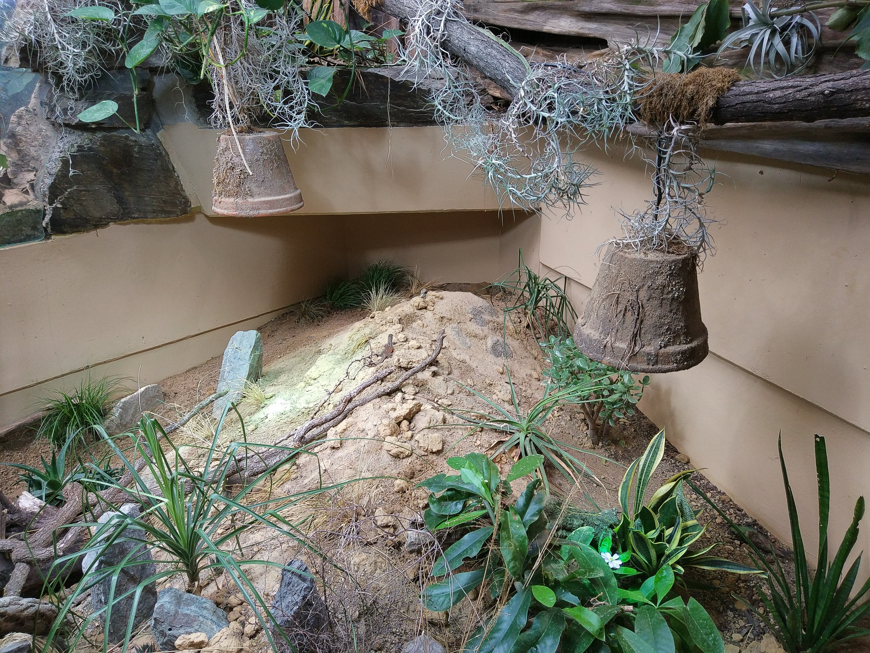 Interesting Heat Lamp Decoration