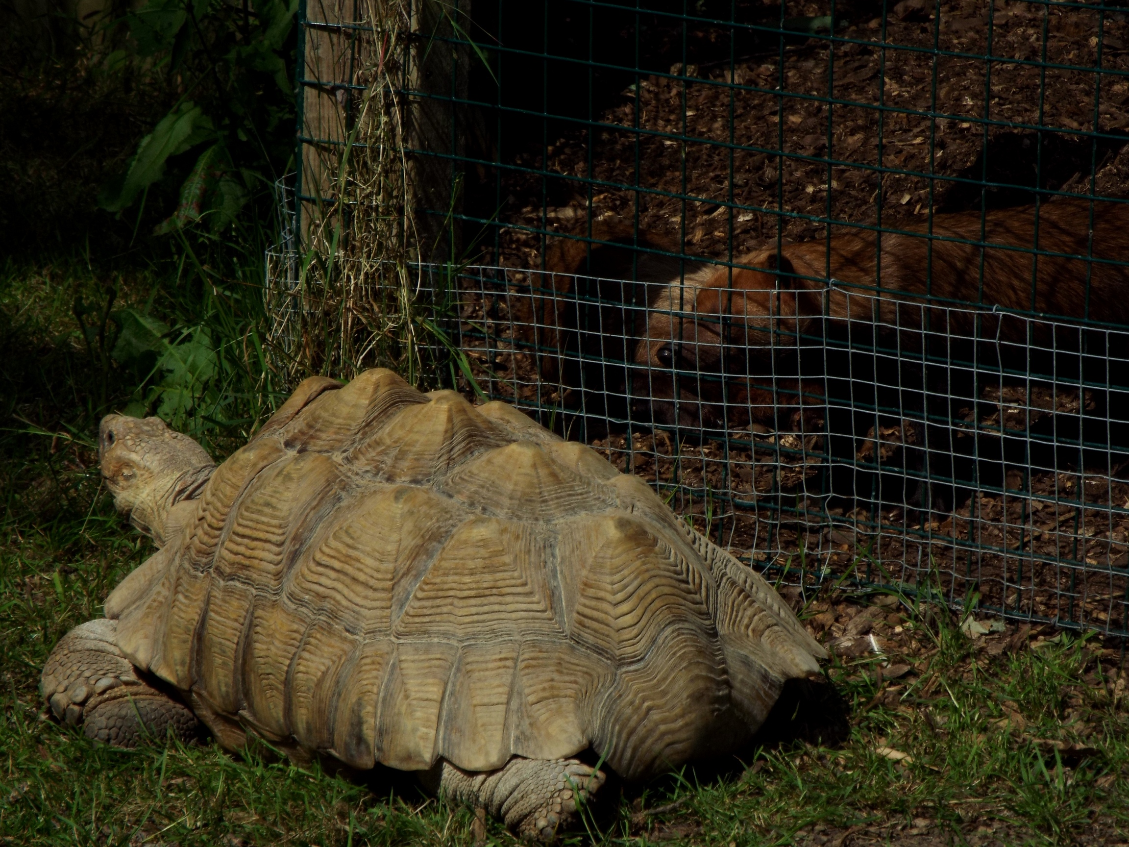 Interesting Interaction Axe Valley