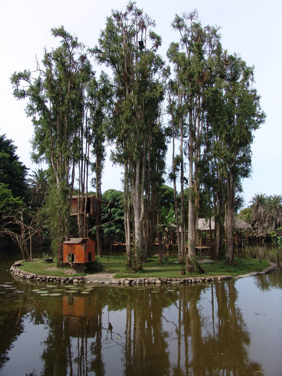 Interesting mixed exhibit