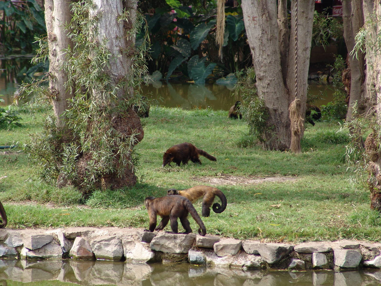 Interesting mixed exhibit