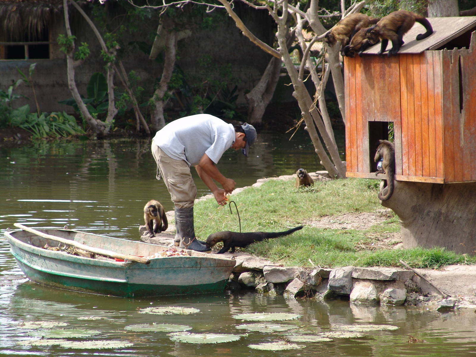 Interesting mixed exhibit