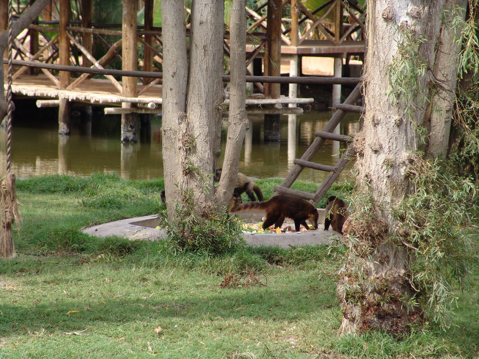 Interesting mixed exhibit