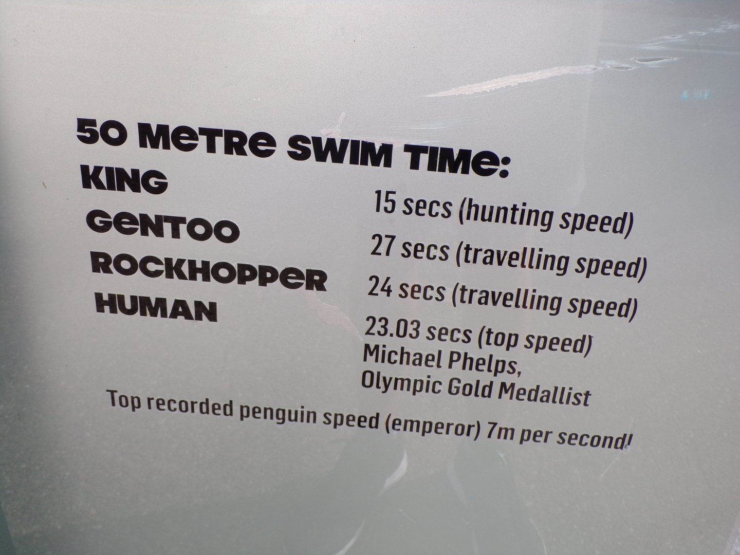 Interesting penguin signage 14.8.23