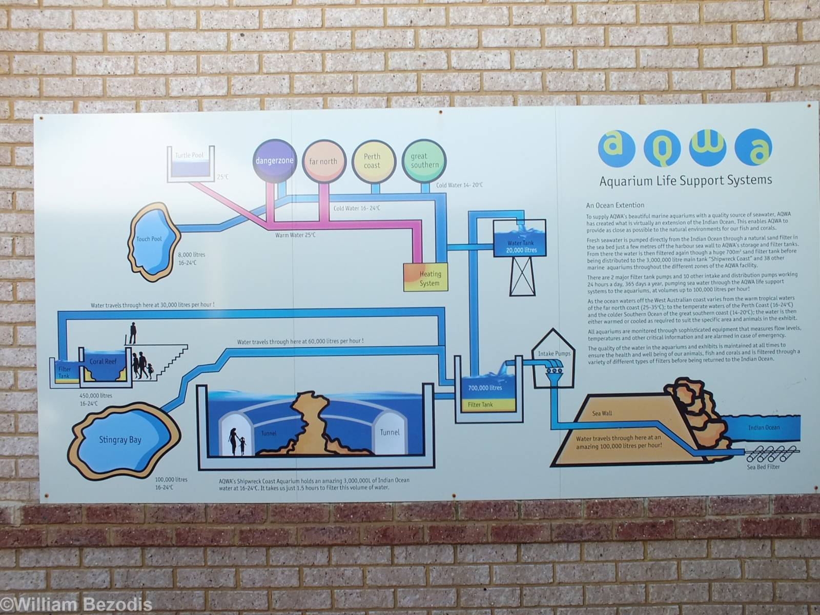 Interesting Sign about the Aquarium Life Support Systems