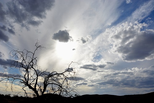 Interesting sky scene.
