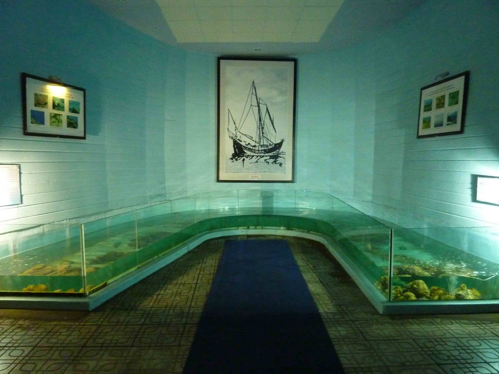 Interesting tank design, May 2013.