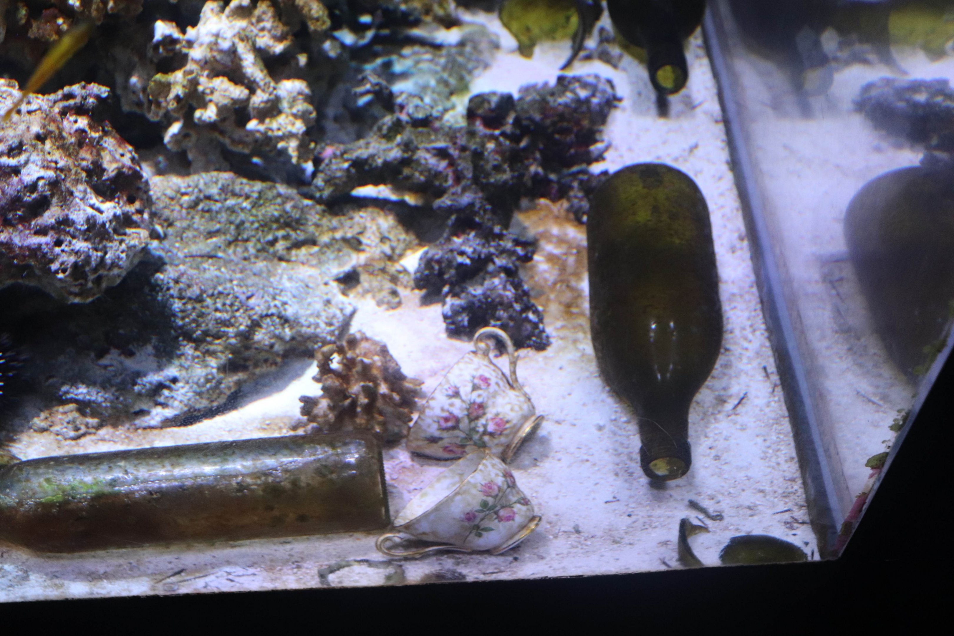 Interesting Tank Ornaments....