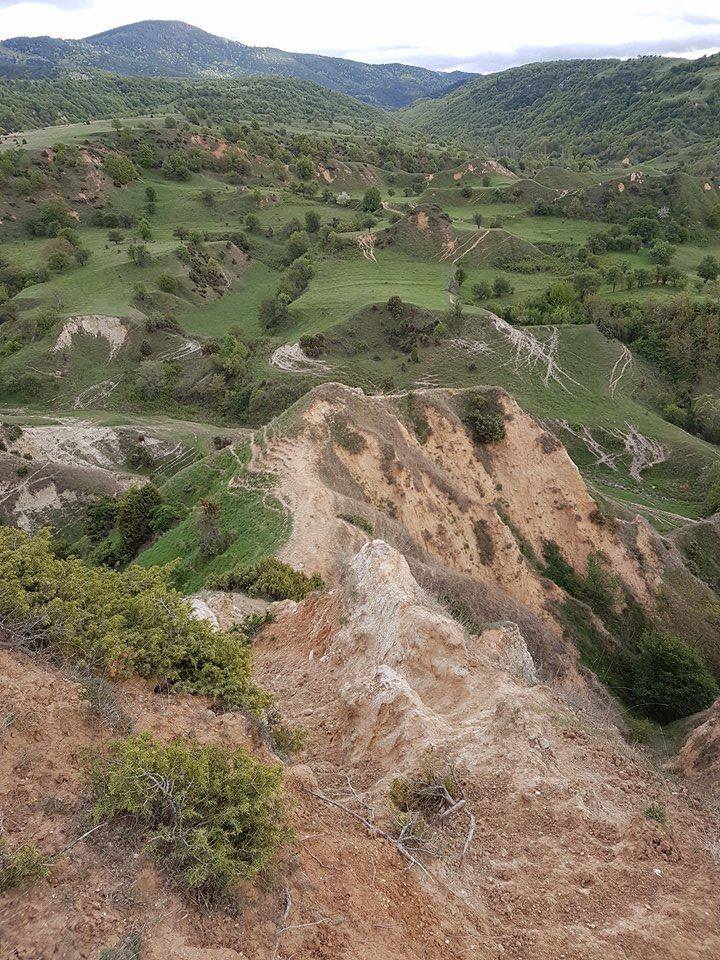 Interesting wild place for zoo