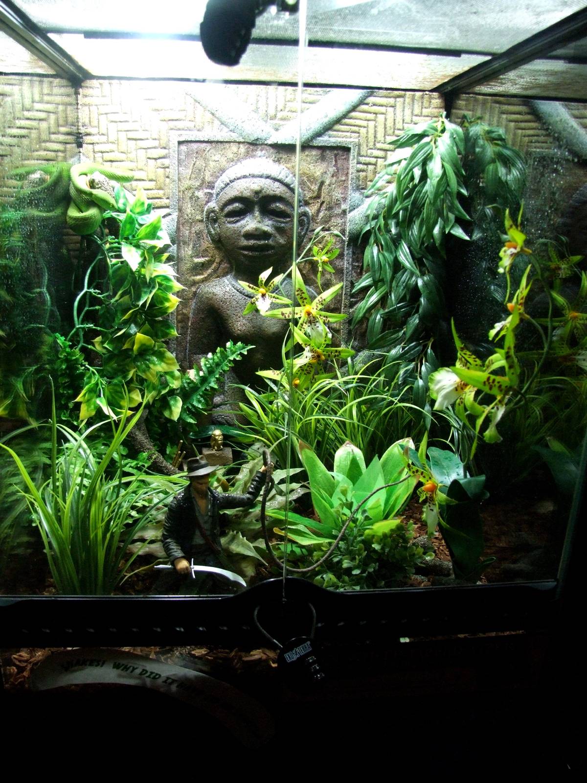 Interestingly-furnished Viper Enclosure at St. Augustine, 11/10/13