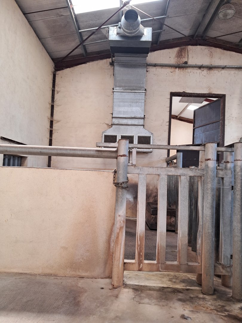 Interior building of black rhinos